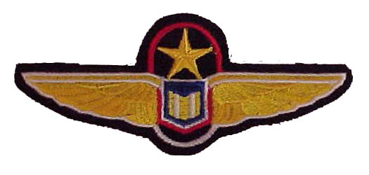 Pilotpatch.jpg